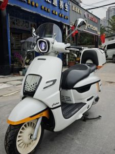 二手南方梦拉丽莎 飞戈