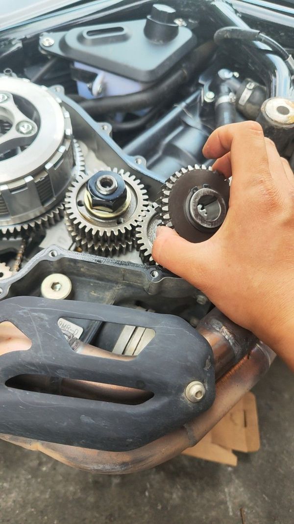 二手贝纳利幼狮 Leoncino 500