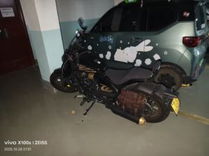 二手赛科龙RA600