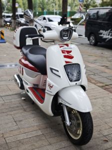 二手南方梦拉丽莎 飞戈