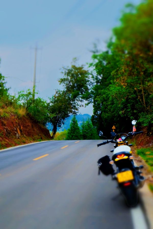 二手杜卡迪Scrambler 800