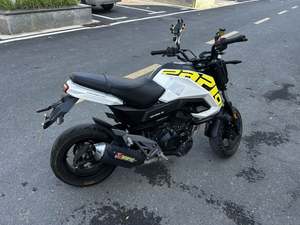 二手春风ST狒狒