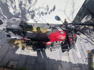 二手钱江金太子QJ125-6C