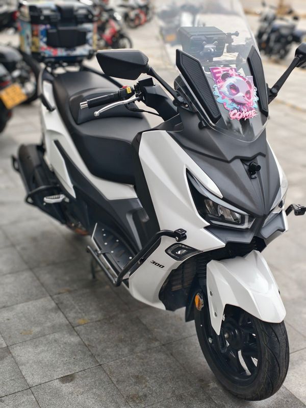 二手三阳Joymax Z 300