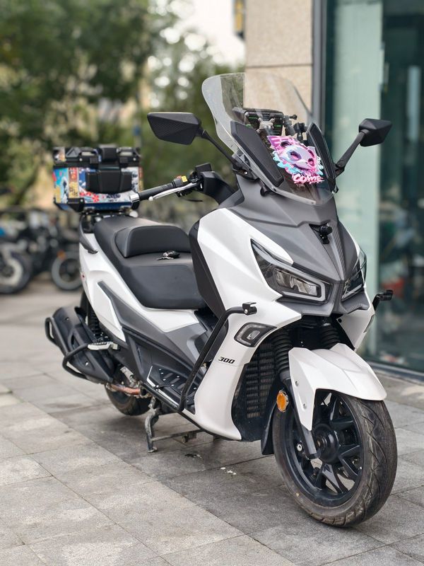 二手三阳Joymax Z 300