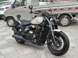 二手赛科龙RA600