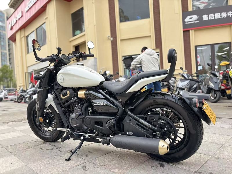 二手赛科龙RA600