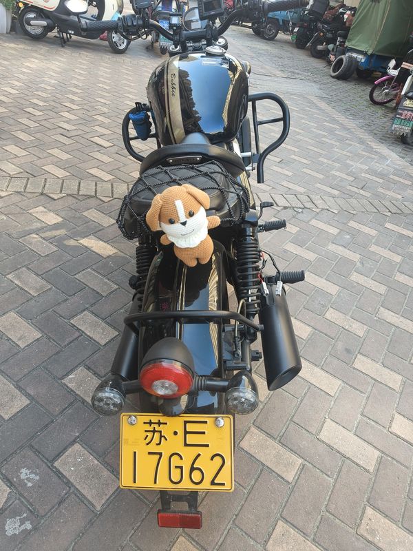 二手长江Bobbie Ⅱ 450S