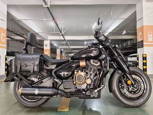 二手赛科龙RA600