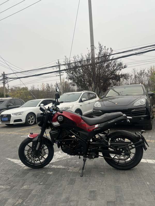 二手贝纳利幼狮 Leoncino 250