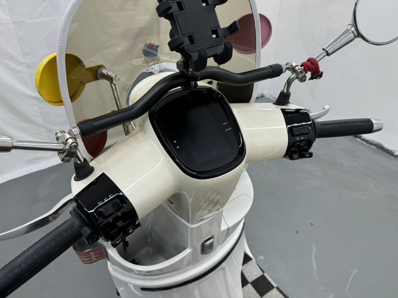 二手南方梦拉丽莎 飞戈