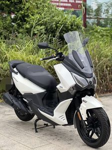 二手三阳Joymax F 300