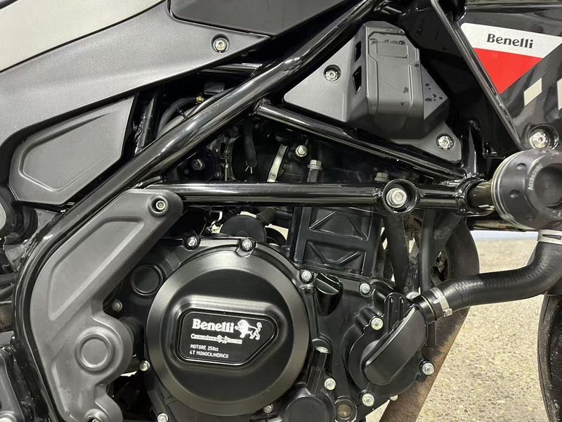 二手贝纳利幼狮 Leoncino 250