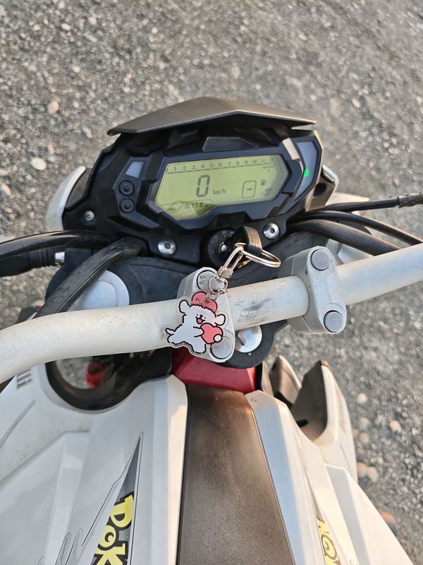 二手贝纳利红宝龙 TNT150i