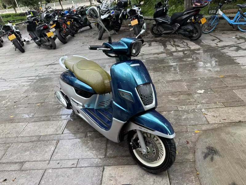 二手南方梦拉丽莎 飞戈