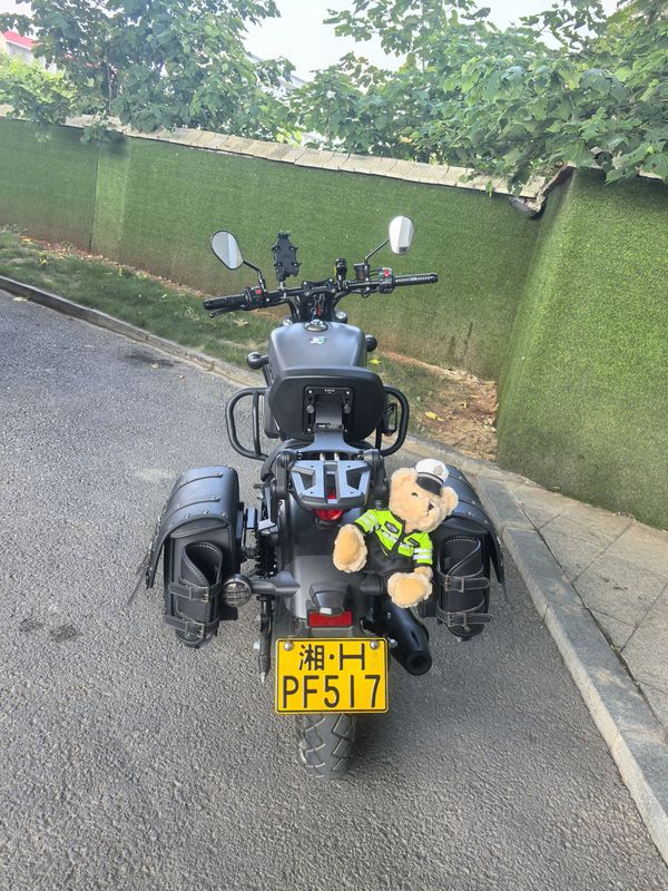 二手赛科龙RA250