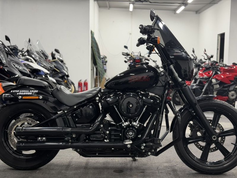 二手哈雷戴维森Softail Standard