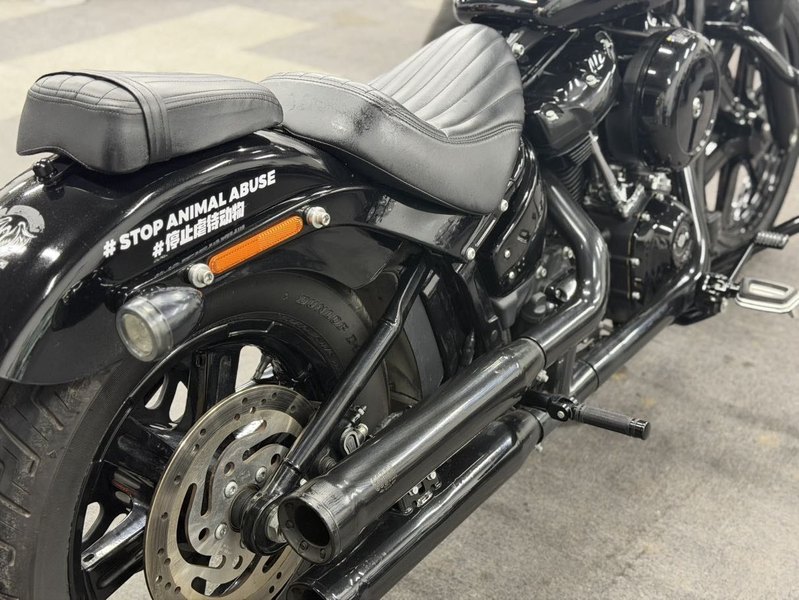 二手哈雷戴维森Softail Standard