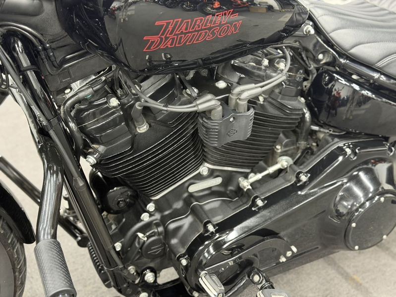 二手哈雷戴维森Softail Standard