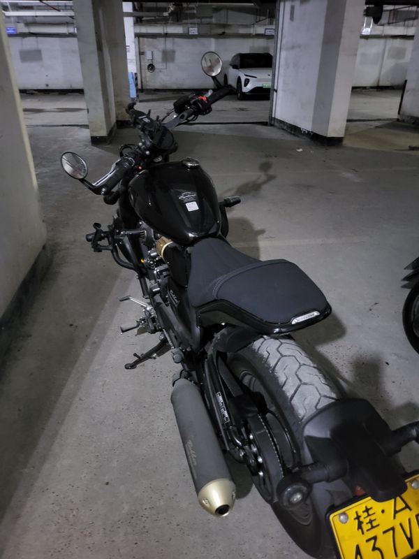 二手赛科龙RA600