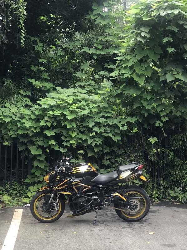 二手贝纳利TNT600i