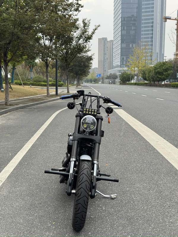 二手哈雷戴维森Iron883 硬汉