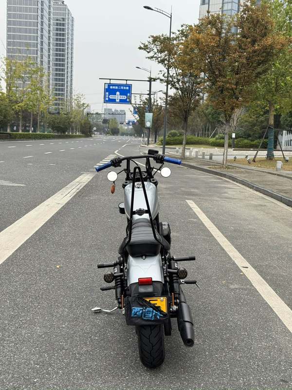 二手哈雷戴维森Iron883 硬汉