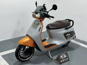 二手阿雷纳鸭嘴兽 Platypus