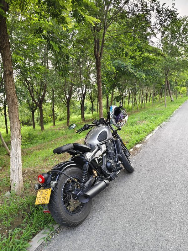 二手长江Bobbie Ⅱ 450S