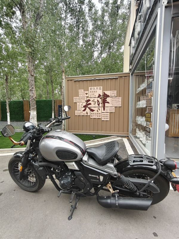 二手长江Bobbie Ⅱ 450S