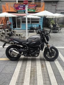 二手贝纳利幼狮 Leoncino 800