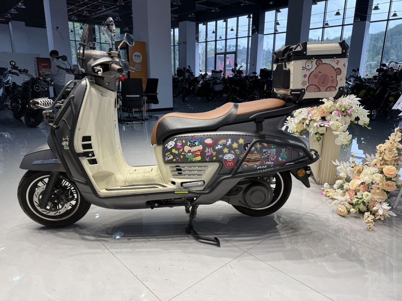 二手赛科龙RT3E 摩登