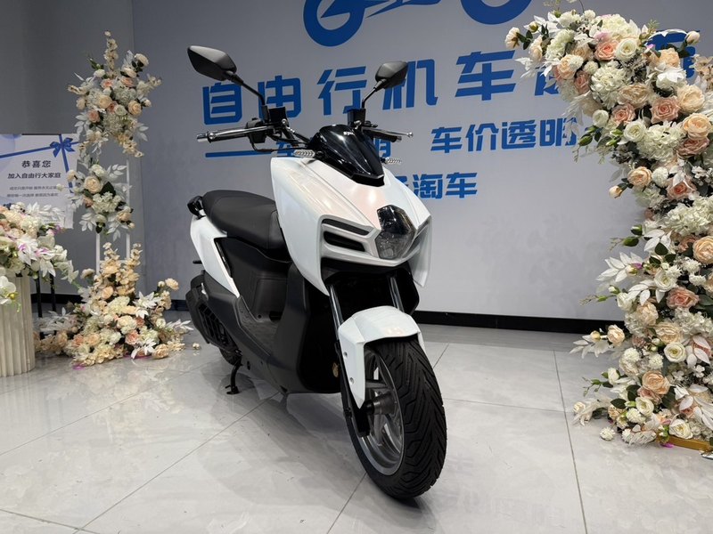 二手三阳曼巴 MMBCU