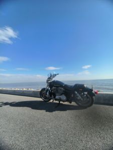 二手哈雷戴维森Iron883 硬汉