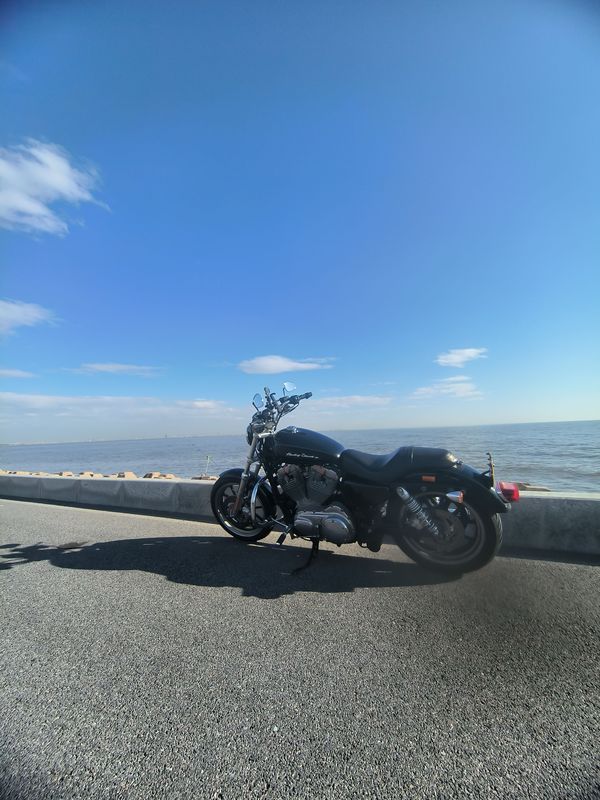 二手哈雷戴维森Iron883 硬汉