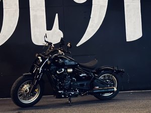 二手赛科龙RA600