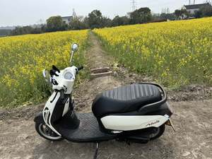 二手新大洲本田NS125LA