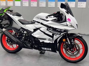 二手雅马哈YZF-R3