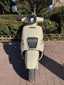 二手南方梦拉丽莎 飞戈