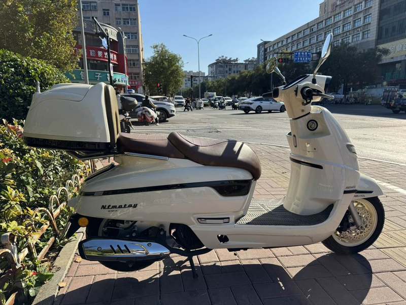 二手南方梦拉丽莎 飞戈