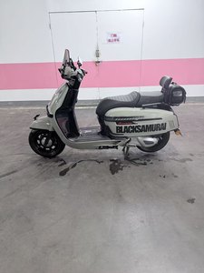 二手维多利亚Sixties 250Si