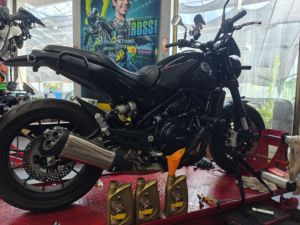 二手贝纳利幼狮 Leoncino 500