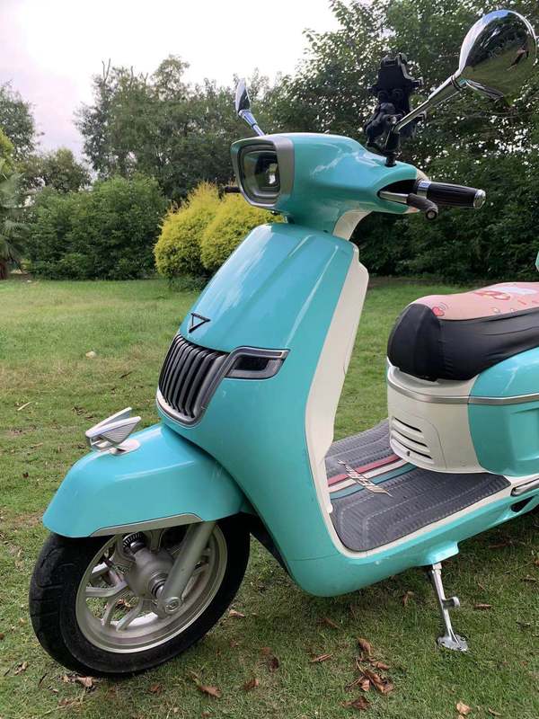 二手南方梦拉丽莎 飞戈