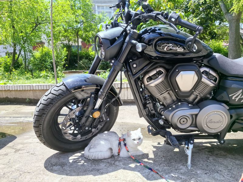 二手奔达金吉拉450