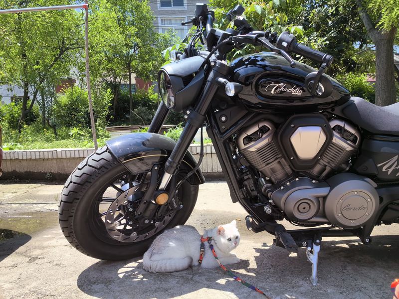 二手奔达金吉拉450