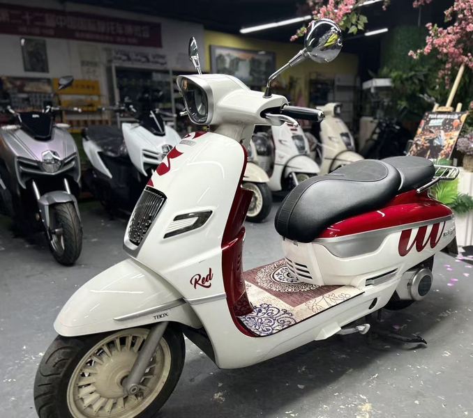 二手南方梦拉丽莎 飞戈