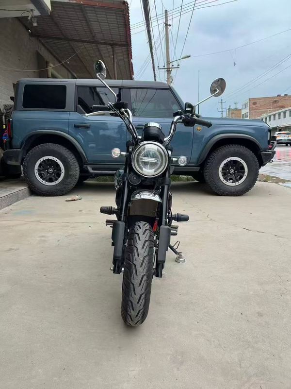 二手斯托纳猿猴