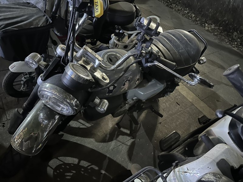 二手斯托纳猿猴