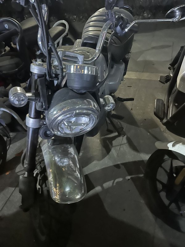 二手斯托纳猿猴