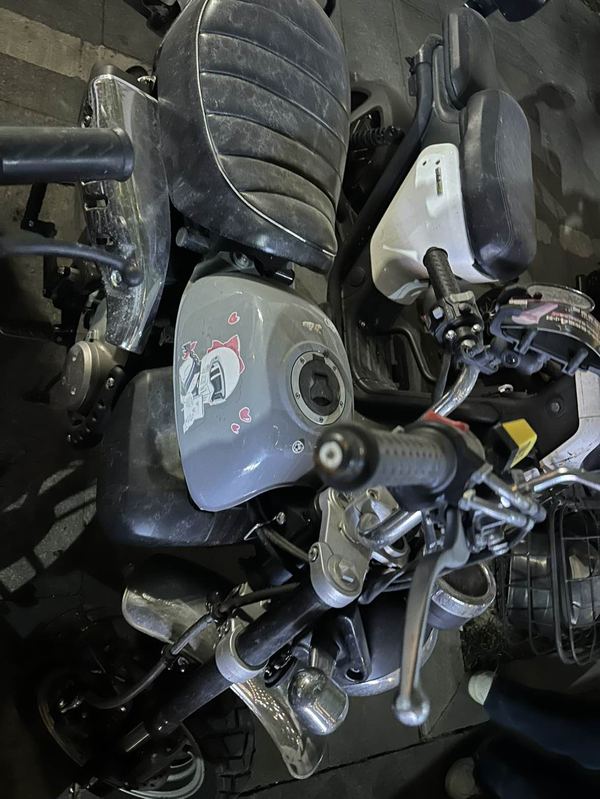 二手斯托纳猿猴